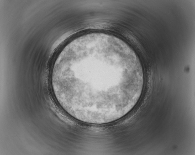 X0000114531114200911301132