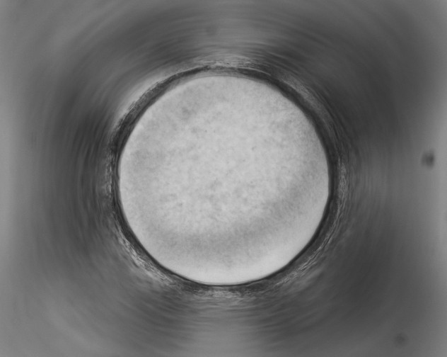 X0000114531115200911301132