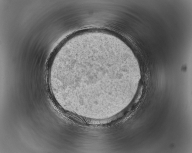 X0000114531118200911301132