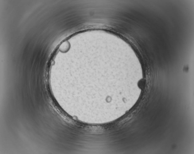 X0000114531119200911301132