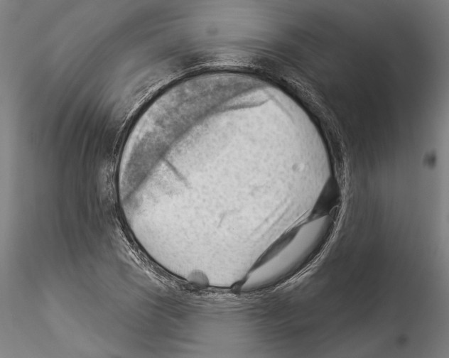 X0000114531121200911301132