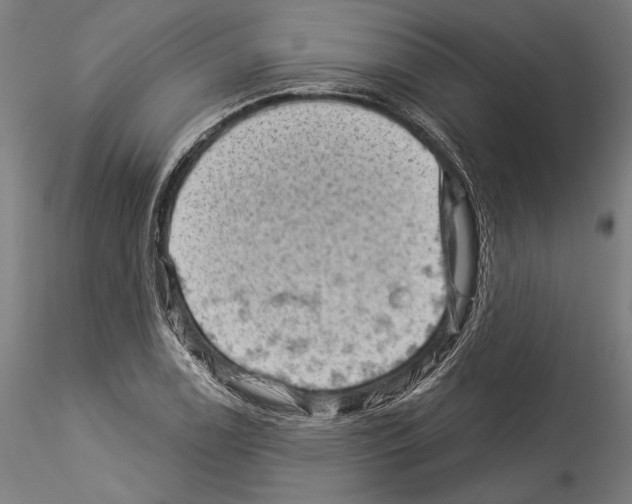 X0000114531122200911301132