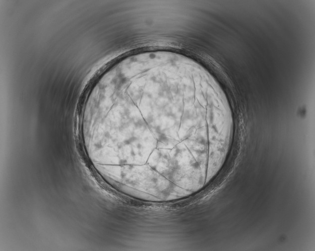 X0000114531125200911301132