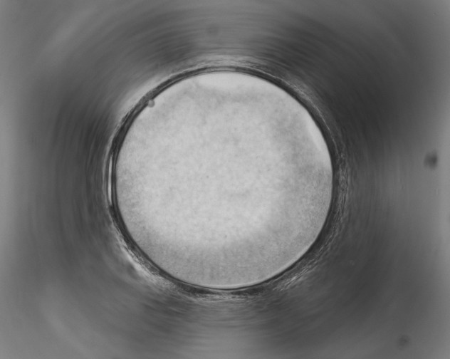 X0000114531127200911301132