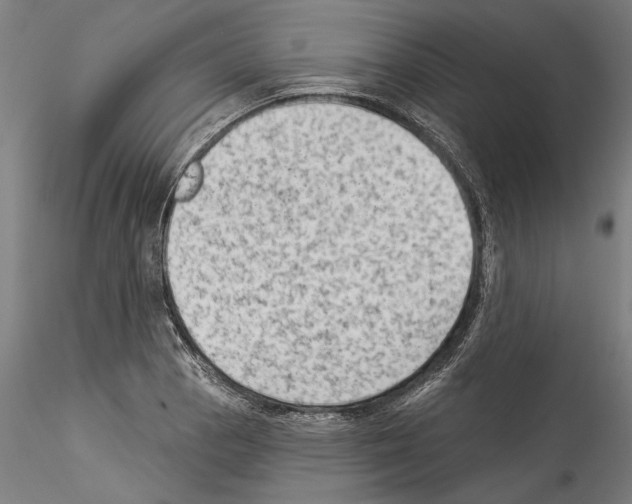 X0000114531129200911301132