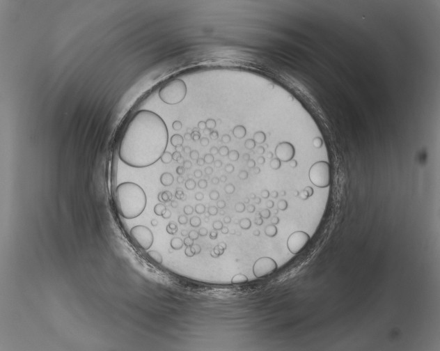 X0000114531130200911301132