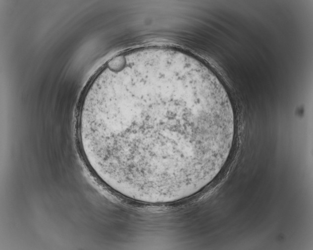 X0000114531134200911301132