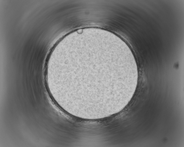 X0000114531135200911301132