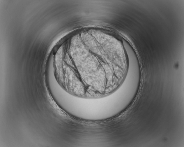 X0000114531138200911301133