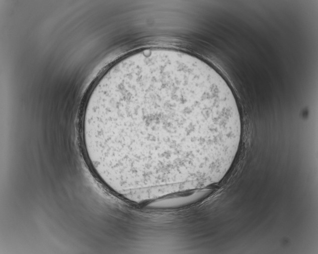 X0000114531139200911301133