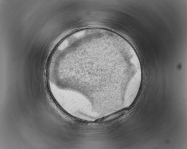 X0000114531142200911301133