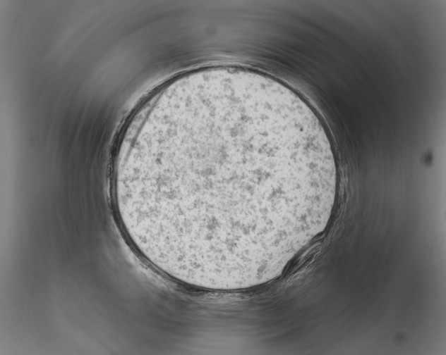 X0000114531143200911301133