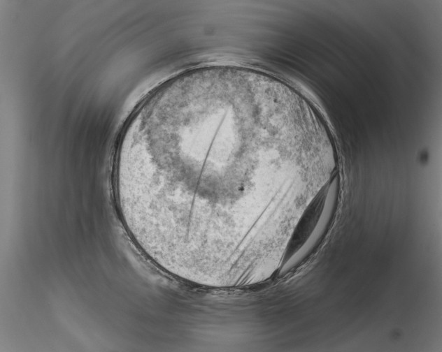 X0000114531146200911301133