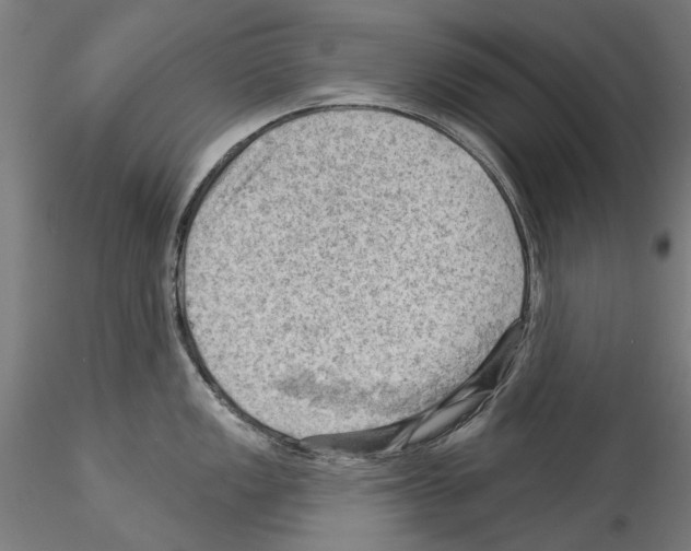 X0000114531149200911301133