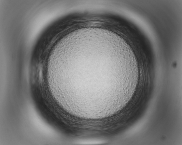 X0000114531150200911301133