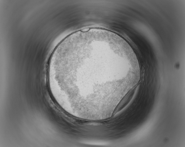 X0000114531151200911301133