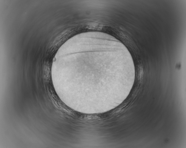 X0000114531154200911301132