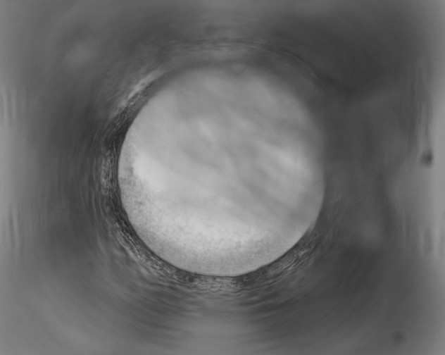 X0000114531158200911301132