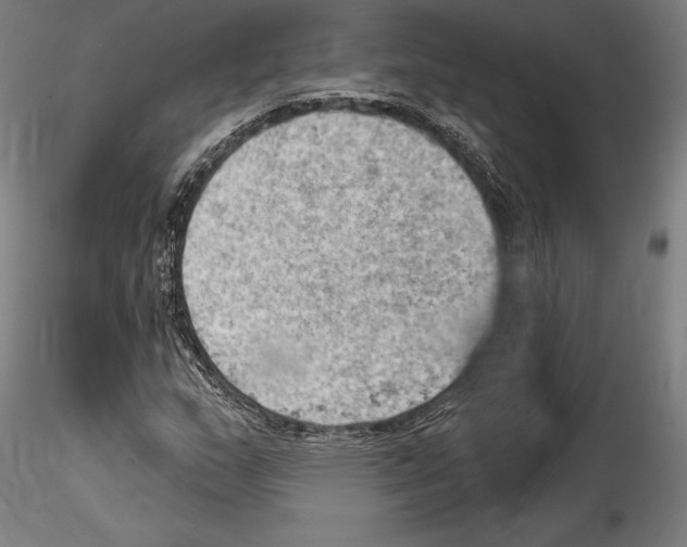 X0000114531159200911301132