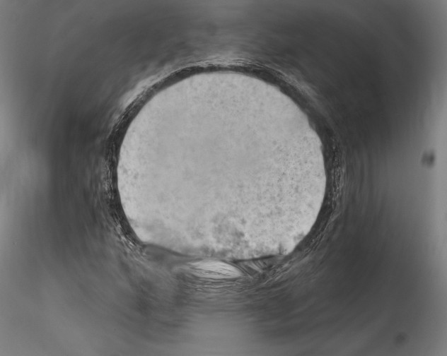 X0000114531160200911301132