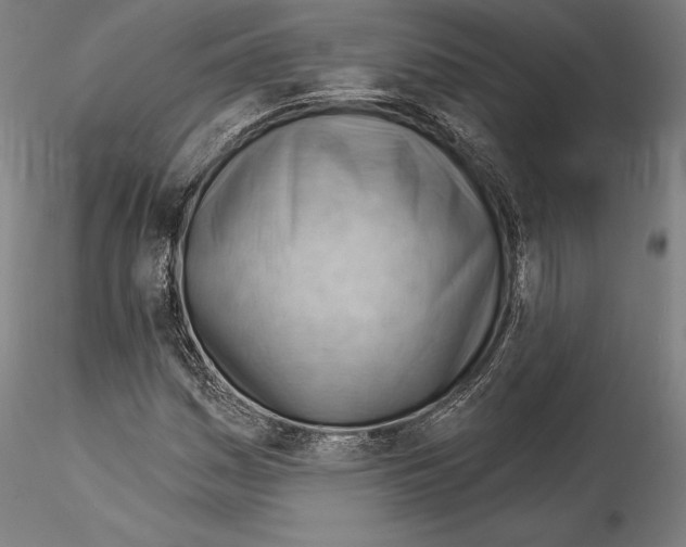 X0000114531161200911301132