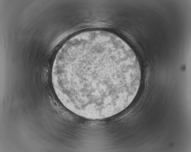 X0000114531163200911301132