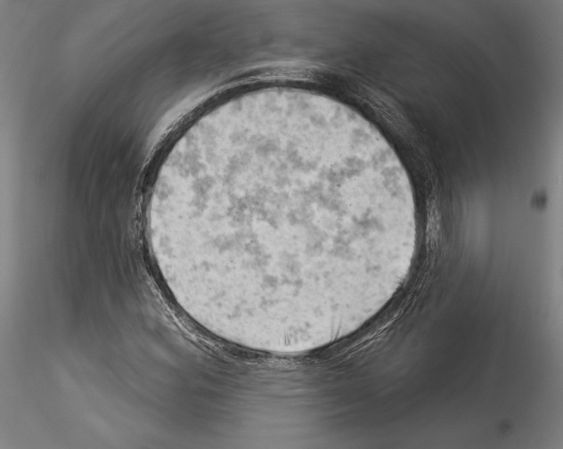 X0000114531164200911301132