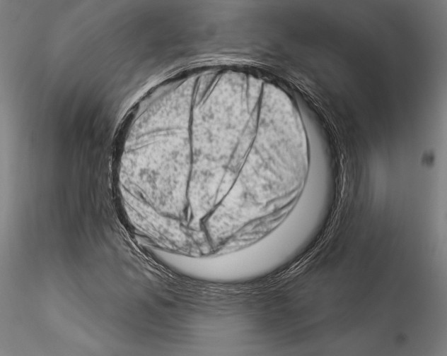 X0000114531165200911301132