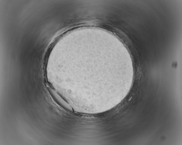 X0000114531168200911301132