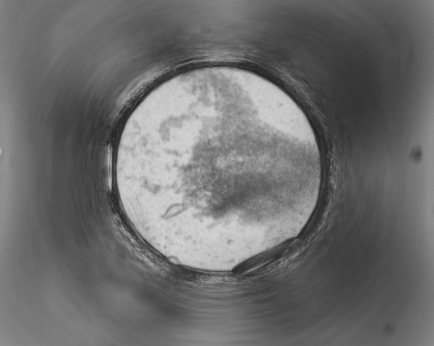 X0000114531171200911301132