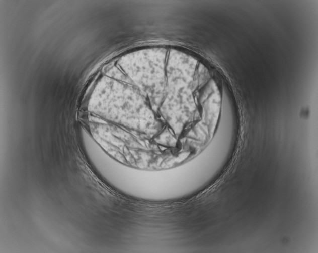 X0000114531173200911301132