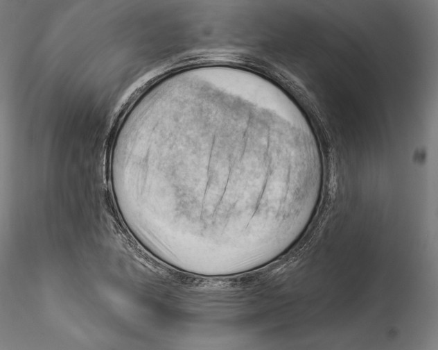 X0000114531174200911301132