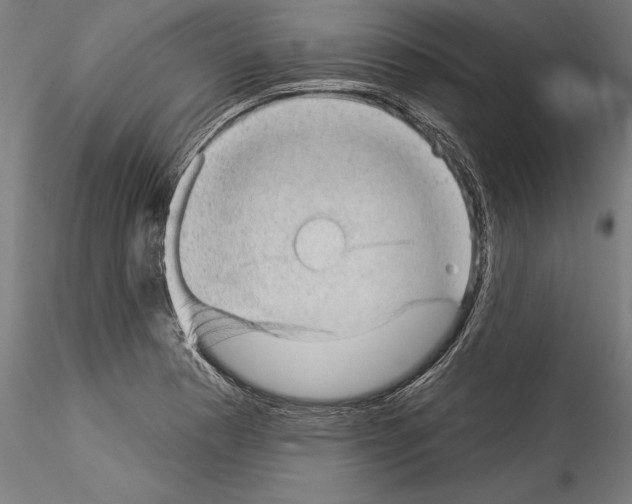 X0000114531177200911301132