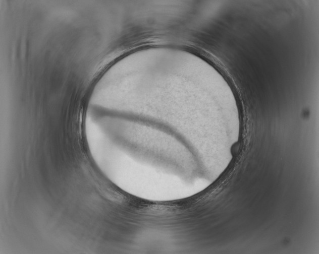 X0000114531179200911301132