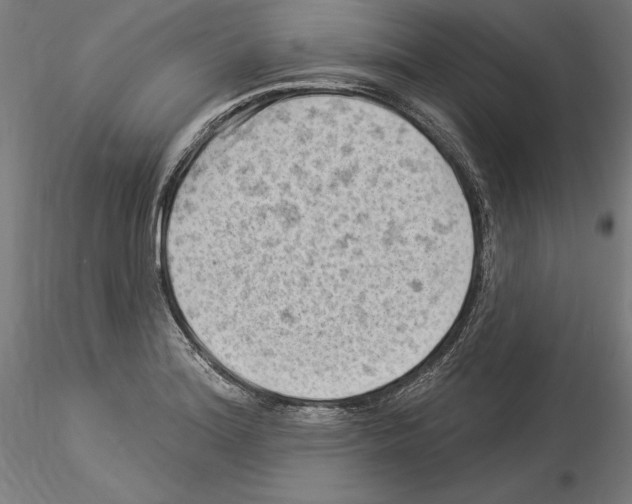 X0000114531180200911301132