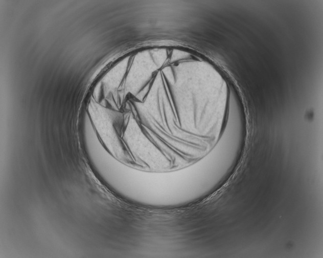 X0000114531181200911301132