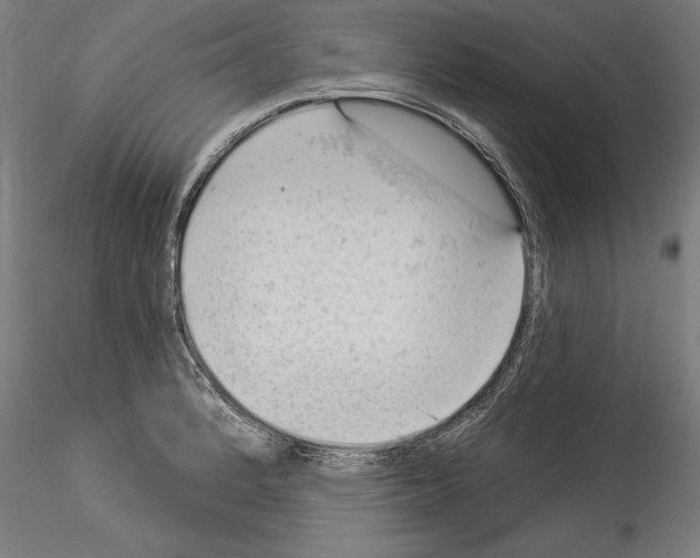 X0000114531184200911301132