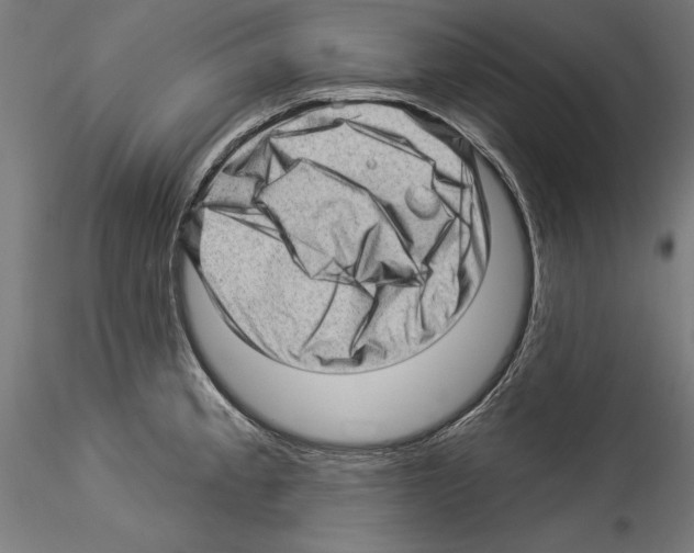 X0000114531189200911301132