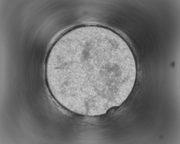 X0000114531191200911301132