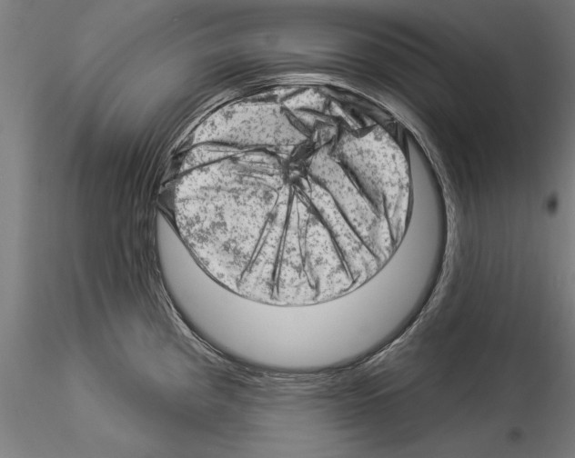 X0000114531193200911301132