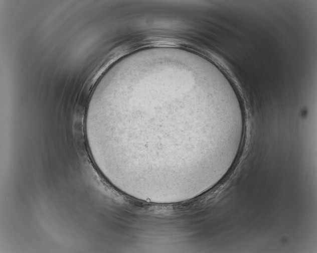 X0000114531194200911301131