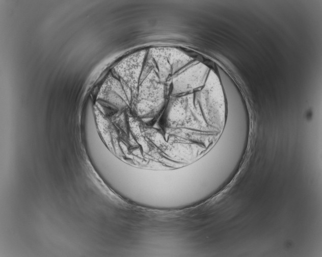 X0000114531196200911301131