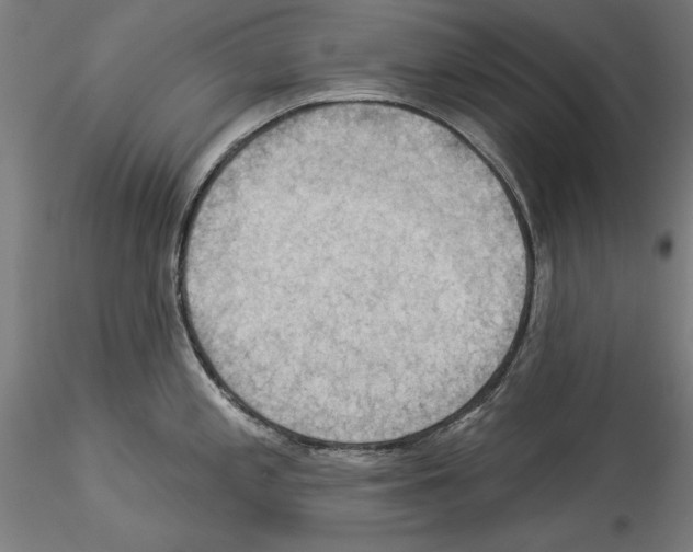 X0000114531197200911301131