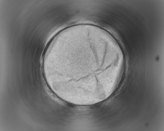 X0000114531198200911301131