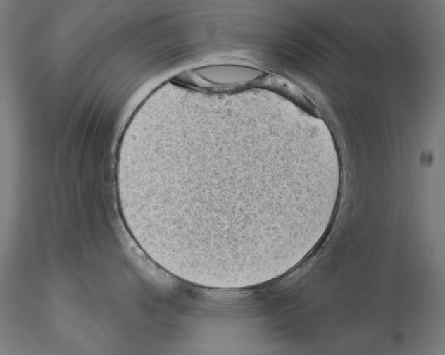 X0000114531200200911301131