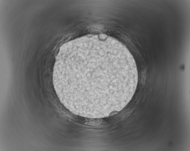 X0000114531201200911301131