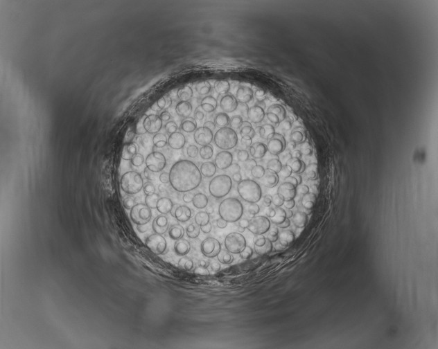 X0000114531205200911301131