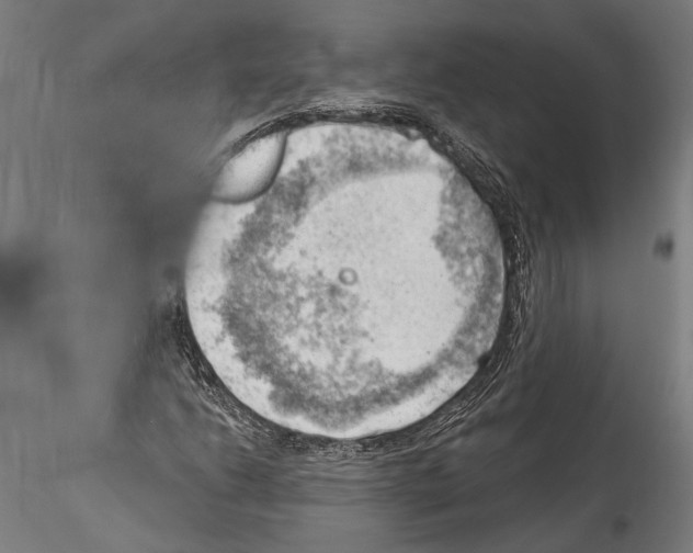 X0000114531206200911301131