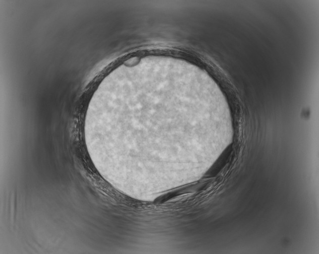 X0000114531208200911301131