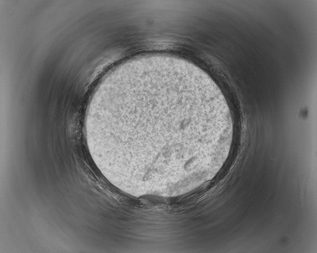 X0000114531210200911301131